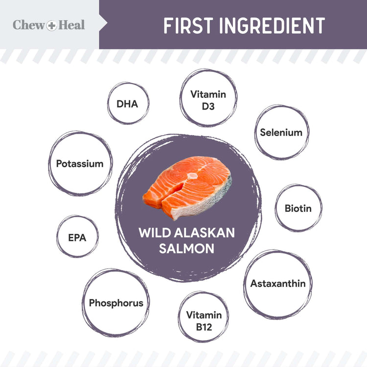 Senior Wild Alaskan Salmon Limited Ingredient Soft Jerky Dog Treats