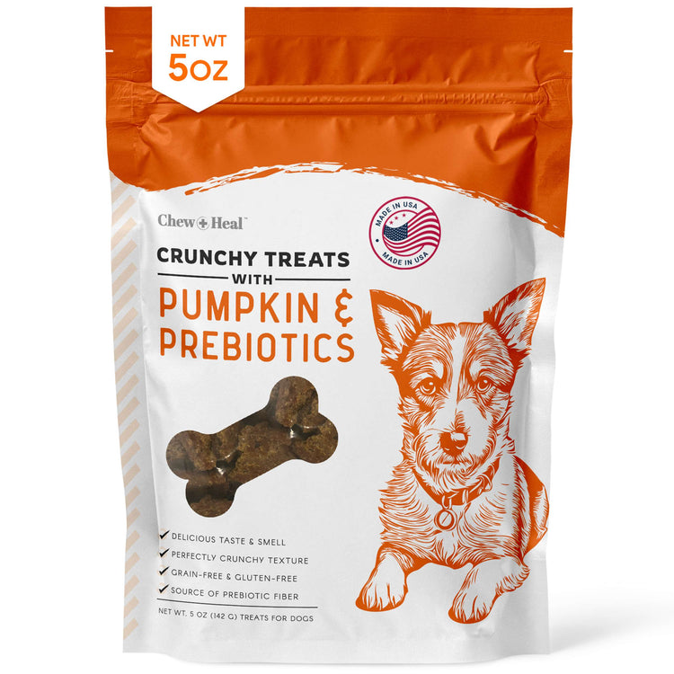 Pumpkin & Prebiotic Fiber Crunchy Biscuit Dog Treats