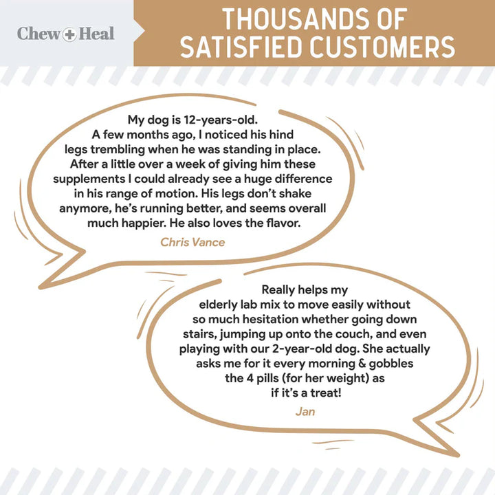 Hip & Joint Mobility Peanut Butter Flavored Soft Chew Senior Dog Supplement Regular price