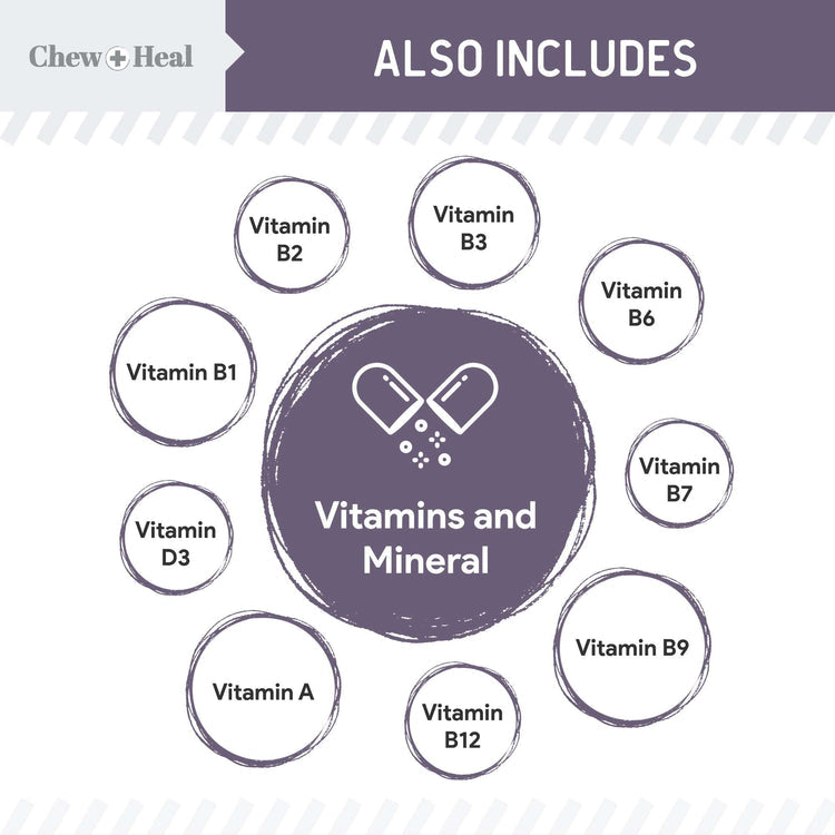 Senior Wild Alaskan Salmon Limited Ingredient Soft Jerky Dog Treats