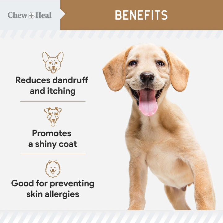 Peanut Butter Omega Skin + Coat Supplement for Dogs