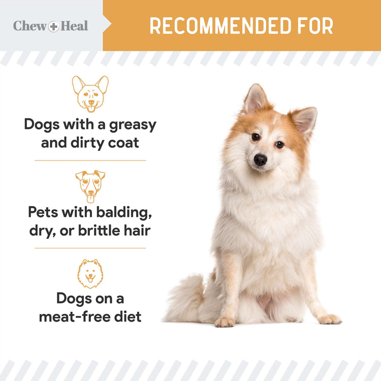 Wild Alaskan Omega Skin + Coat Salmon Soft Jerky Dog Treats