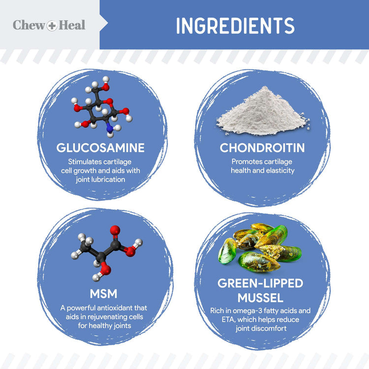 High-Potency Advanced Mobility Support Liquid Supplement for Senior Dogs