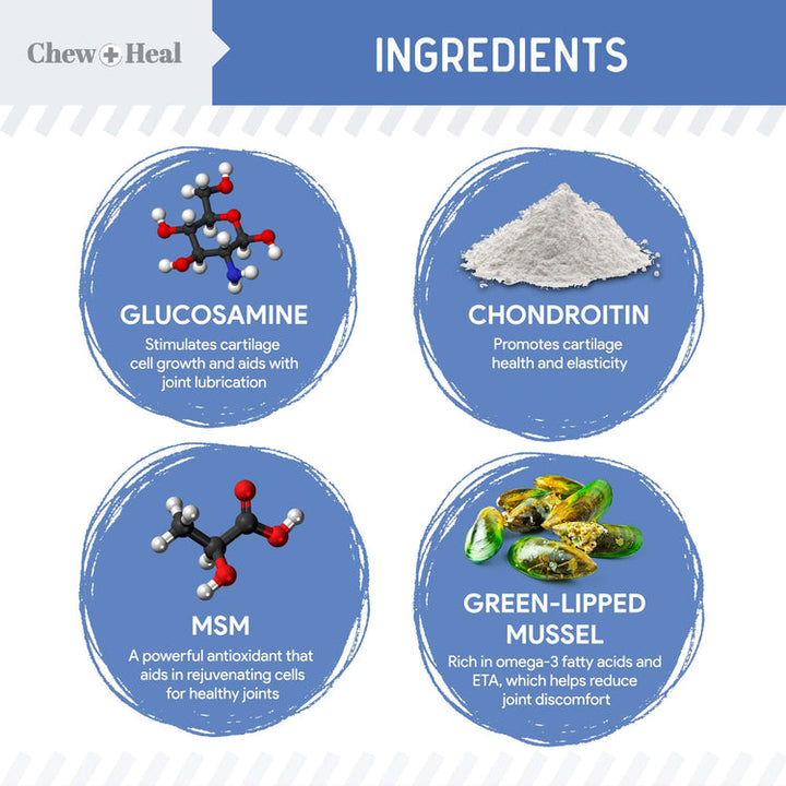 High-Potency Advanced Mobility Support Liquid Supplement for Senior Dogs