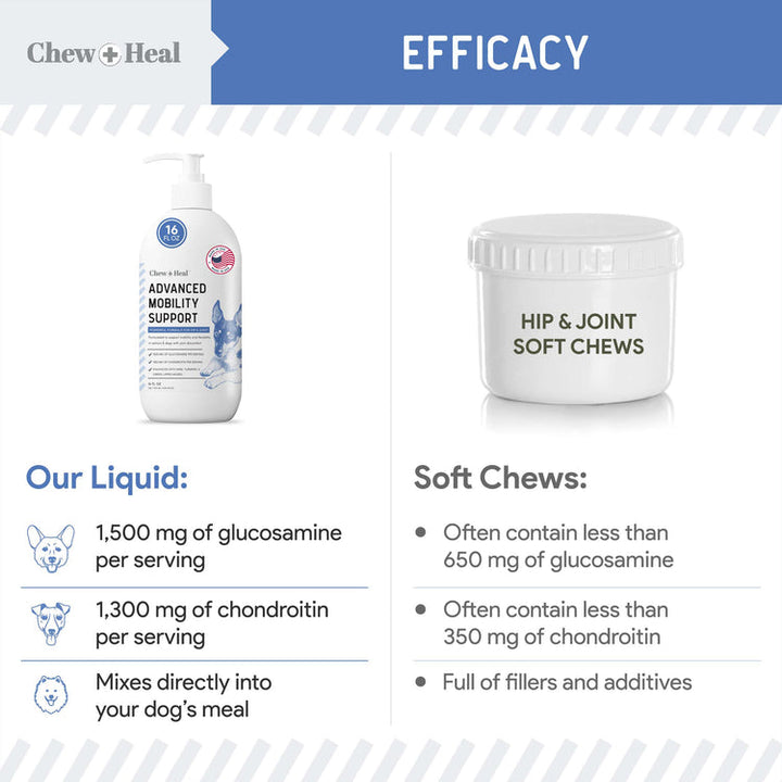 High-Potency Advanced Mobility Support Liquid Supplement for Senior Dogs