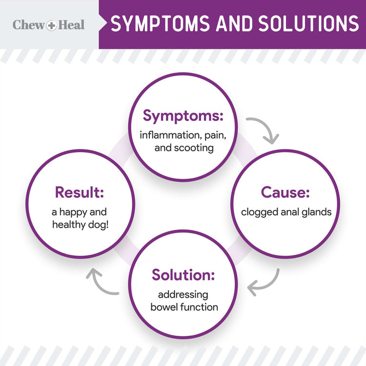 Stop the Scoot Anal Gland Support & Bowel Function Supplement for Dogs