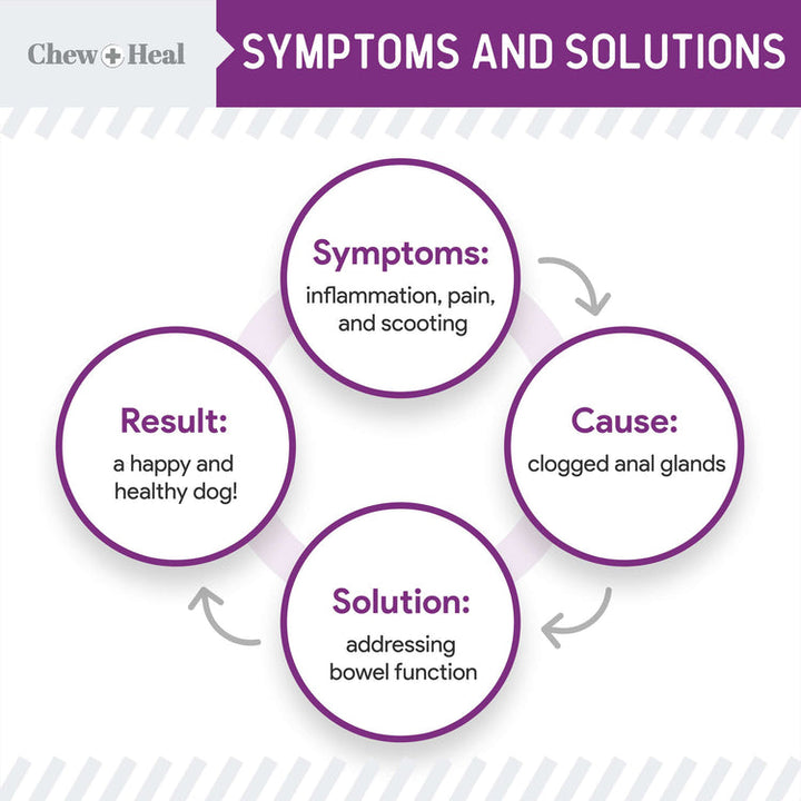 Stop the Scoot Anal Gland Support & Bowel Function Supplement for Dogs