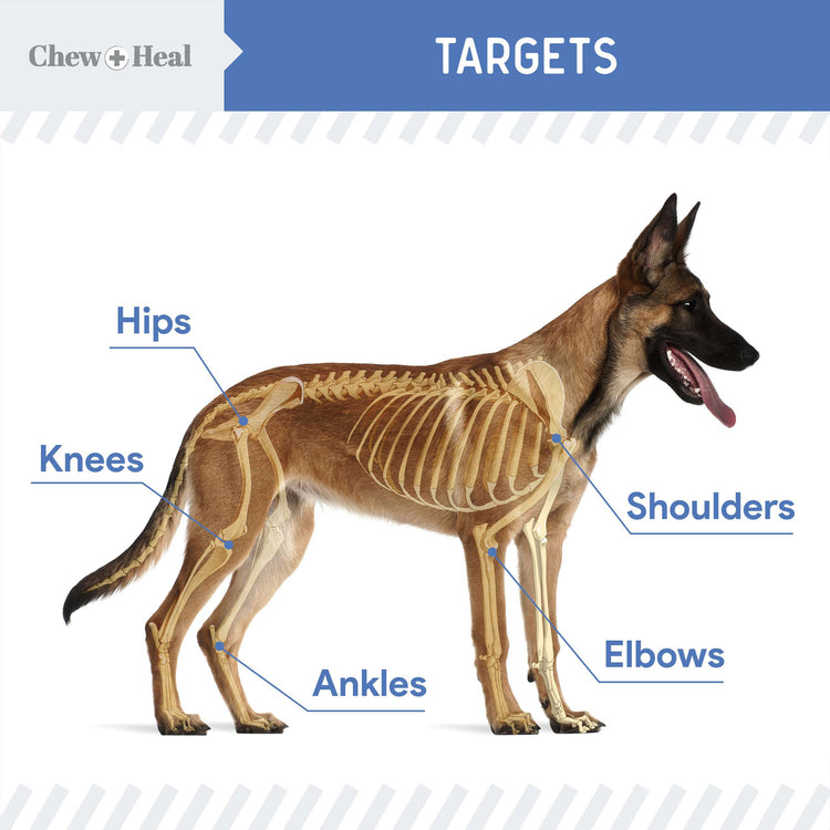 High-Potency Advanced Mobility Support Liquid Supplement for Senior Dogs