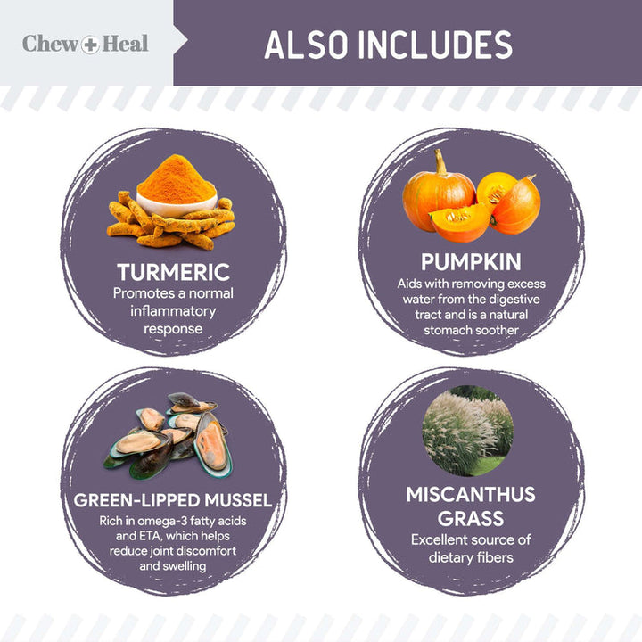 Senior Wild Alaskan Salmon Limited Ingredient Soft Jerky Dog Treats