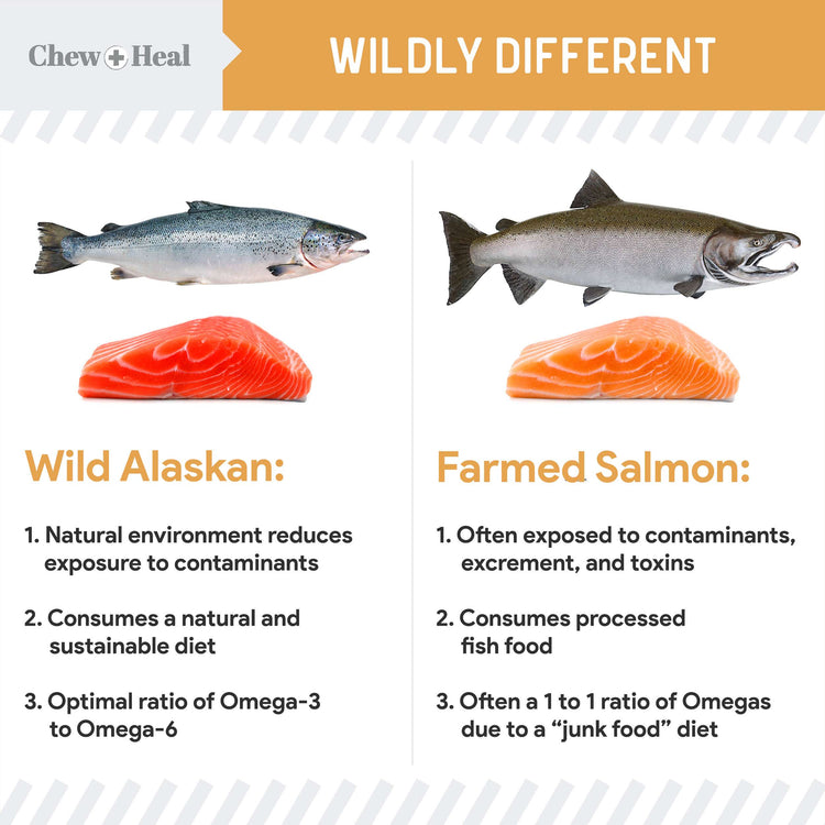 Wild Alaskan Omega Skin + Coat Salmon Soft Jerky Dog Treats
