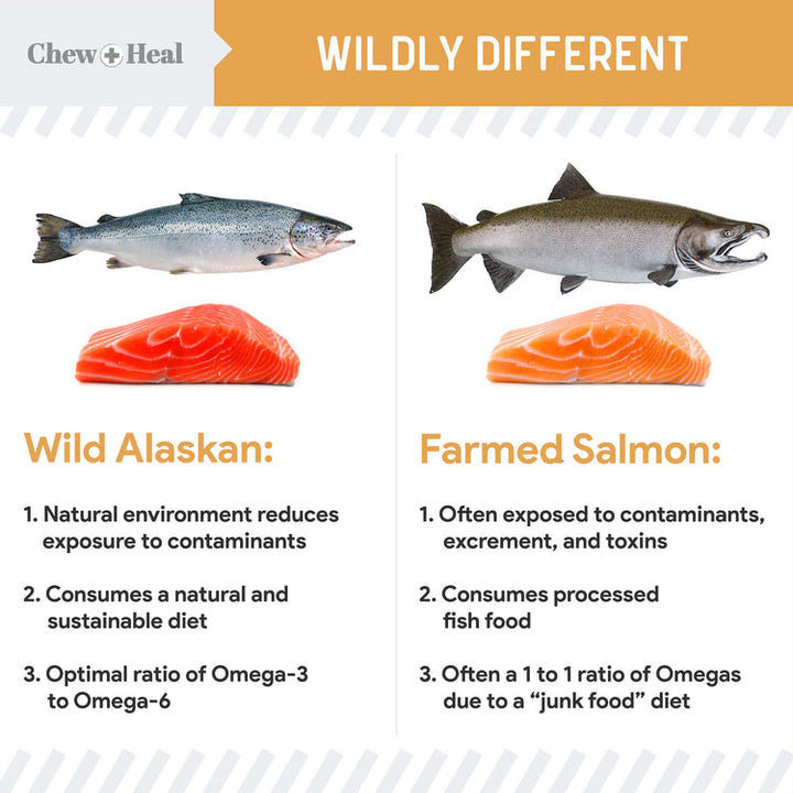 Wild Alaskan Omega Skin + Coat Salmon Soft Jerky Dog Treats