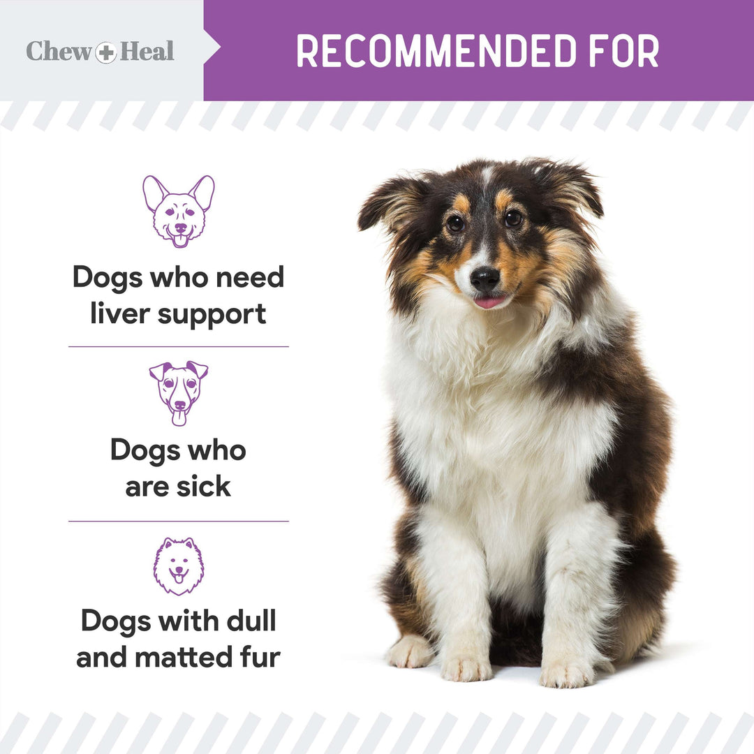 Milk Thistle Tincture with Moringa Oil & Salmon Oil Liquid Kidney & Liver Health Supplement for Dogs(2oz)