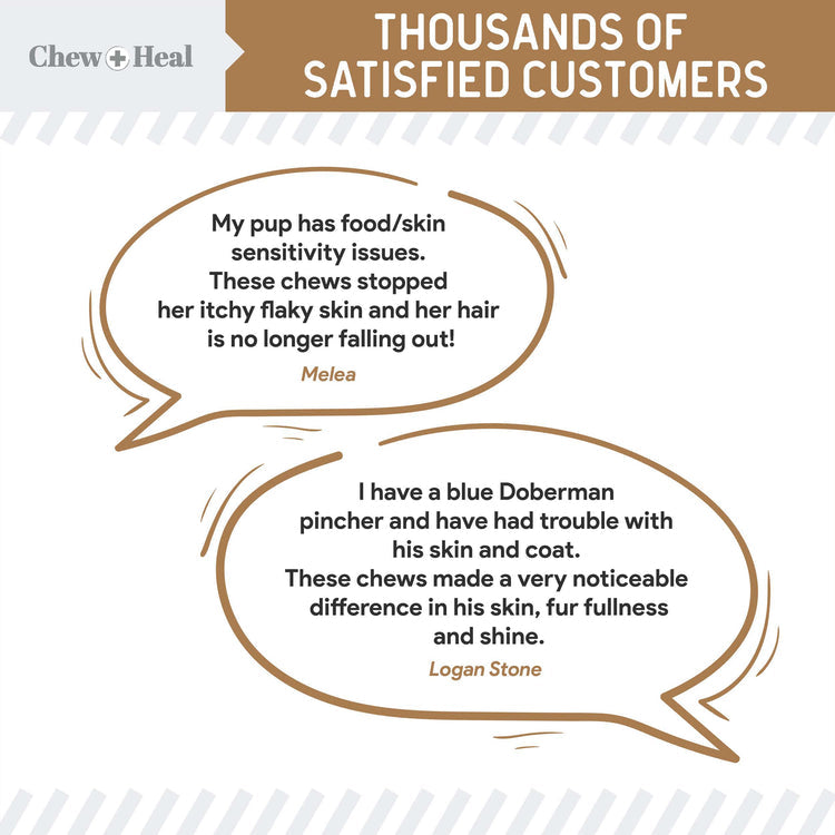 Peanut Butter Omega Skin + Coat Supplement for Dogs