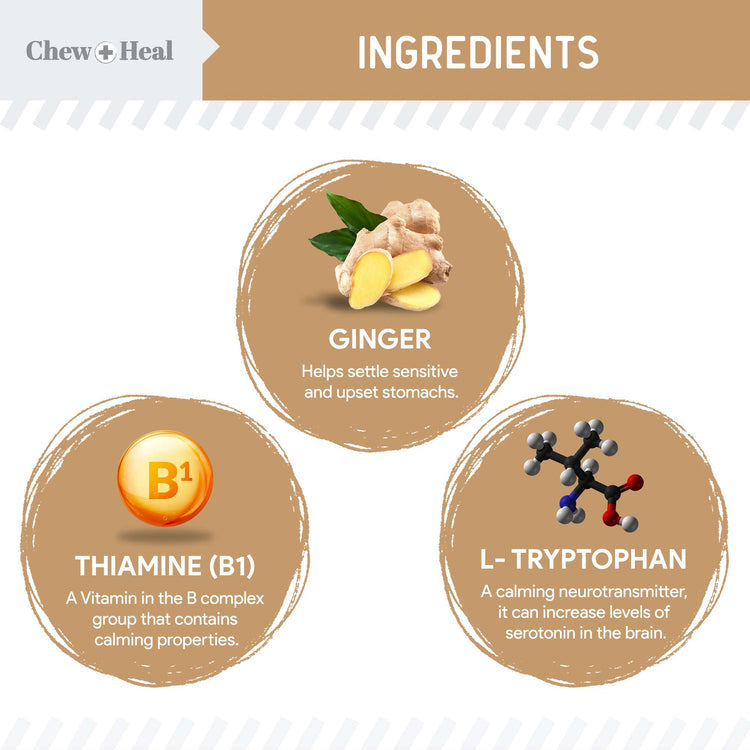 Anxiety + Stress Peanut Butter Flavored Soft Chew Calming Dog Supplement