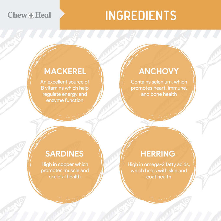 Wild-Caught Omega Skin + Coat Softgels Made with Wild-Caught Fish Oil Supplement for Dogs & Cats