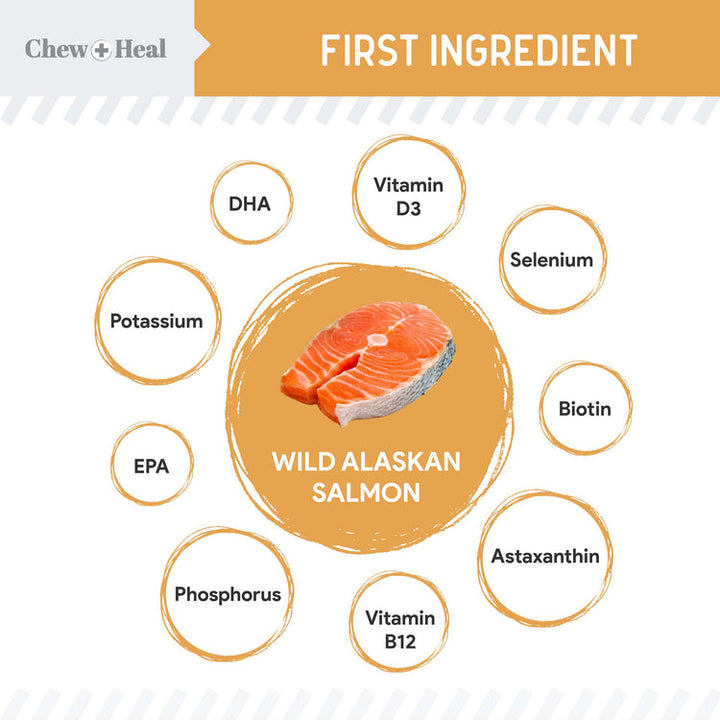 Wild Alaskan Omega Skin + Coat Salmon Soft Jerky Dog Treats