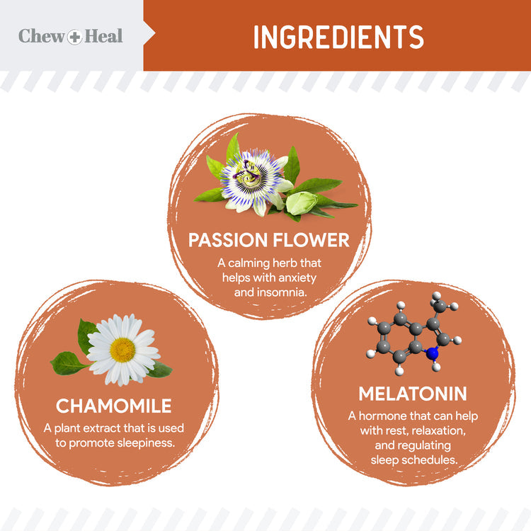 Travel-Sized Anxiety & Stress Chews Supplement for Dogs