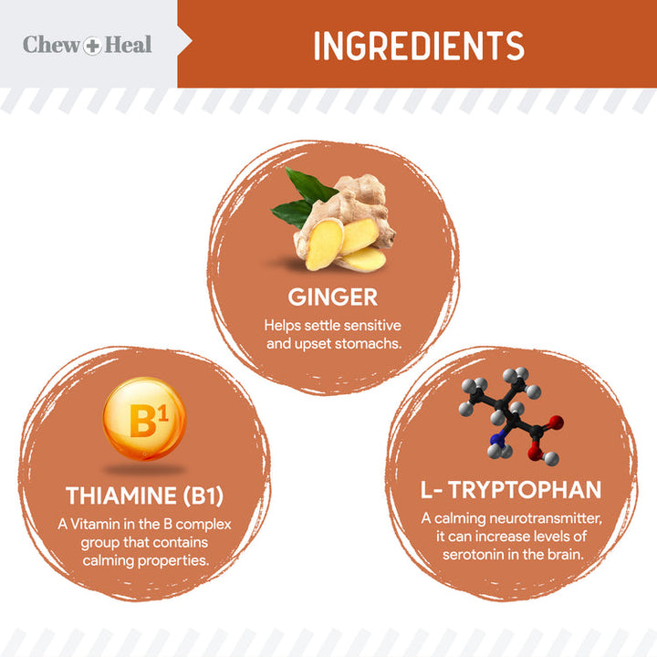 Travel-Sized Anxiety & Stress Chews Supplement for Dogs