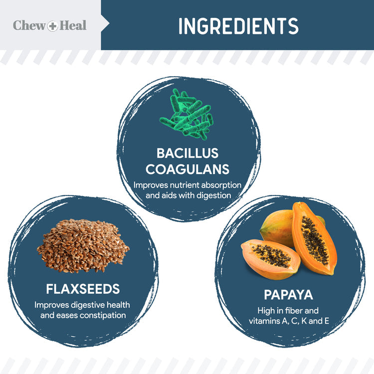 Digestive Enzymes & Probiotics Supplement for Dogs 120soft Chews