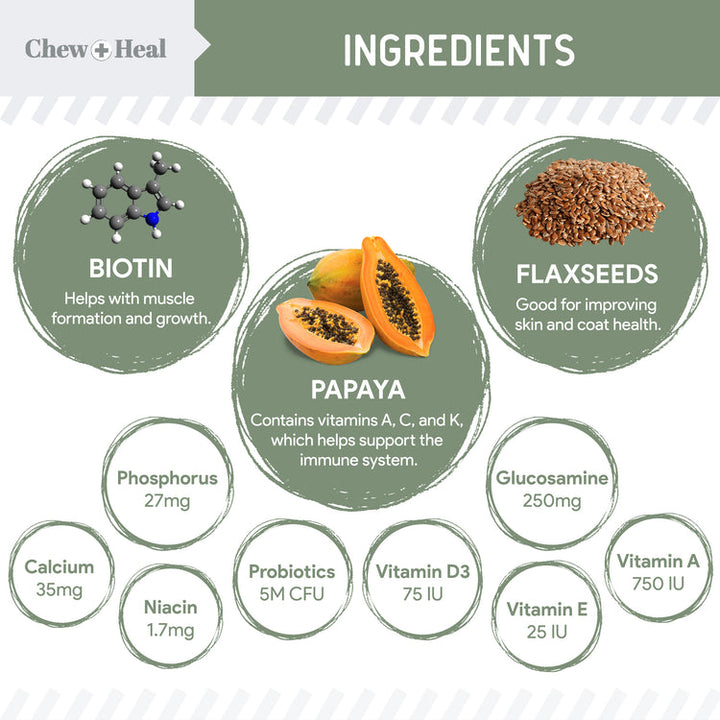 4-In-1 Support Multivitamin Dog Supplement