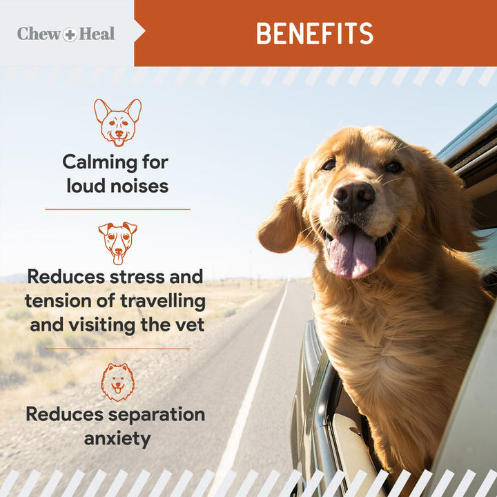 Travel-Sized Anxiety & Stress Chews Supplement for Dogs