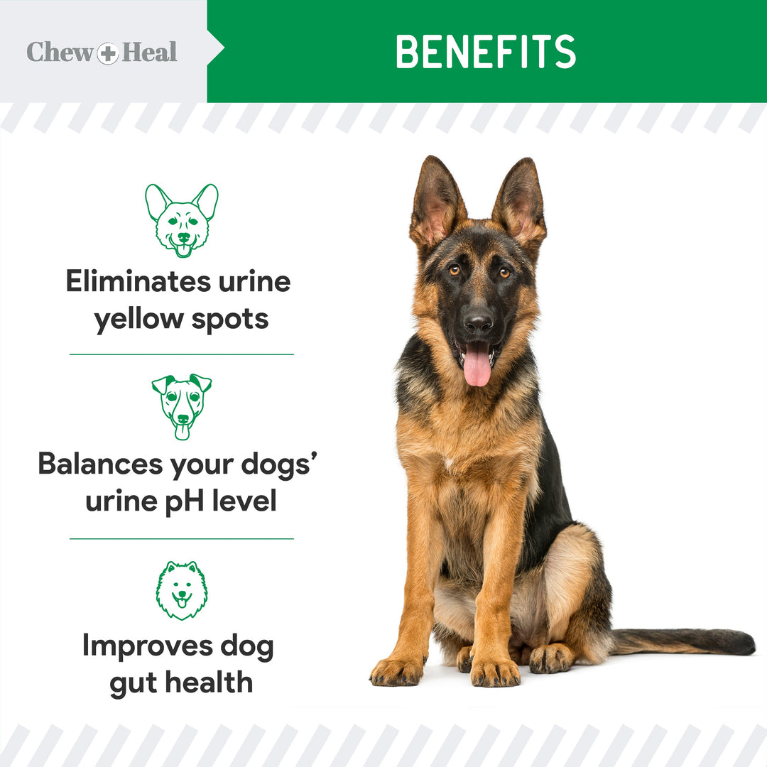 Lawn Saver Soft Chew Lawn Protection Supplement for Dogs