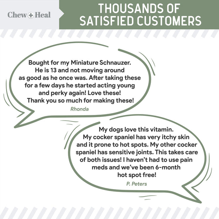 4-In-1 Support Multivitamin Dog Supplement