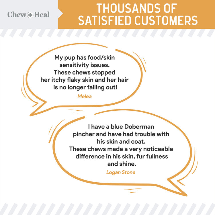 Omega Skin + Coat Dog Supplement