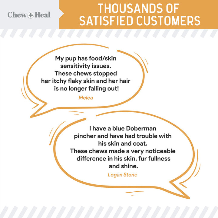 Omega Skin + Coat Dog Supplement