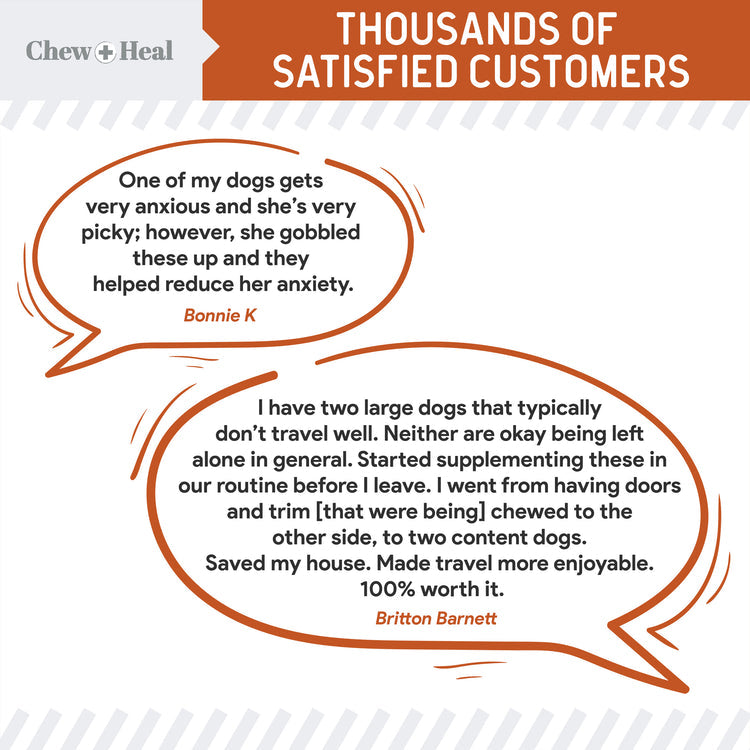 Travel-Sized Anxiety & Stress Chews Supplement for Dogs