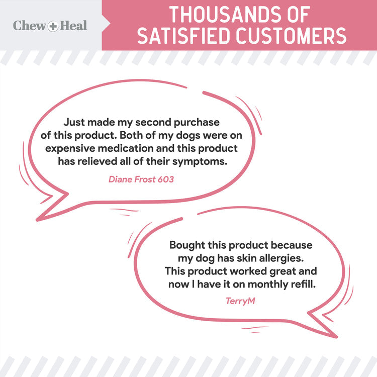 Allergy Aid Soft Chew Allergy Supplement for Dogs