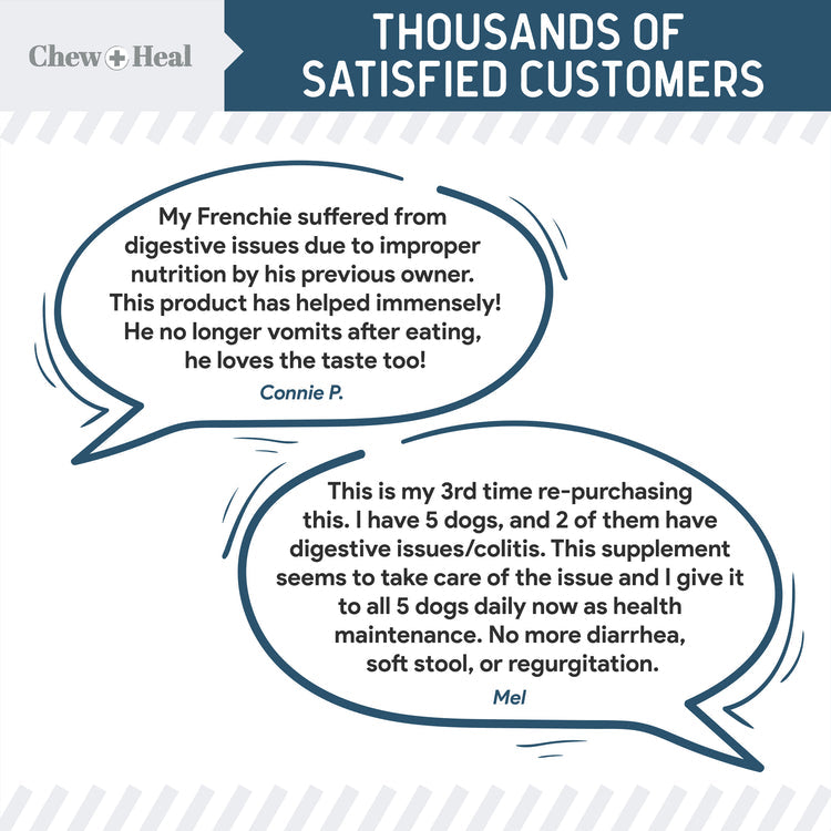 Digestive Enzymes & Probiotics Supplement for Dogs 120soft Chews