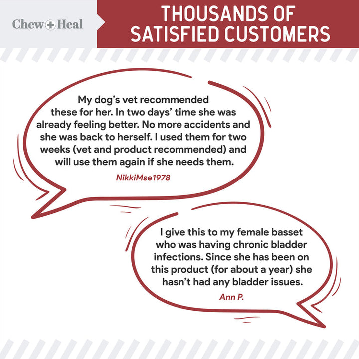 Cranberry Support Urinary Tract Supplement for Dogs