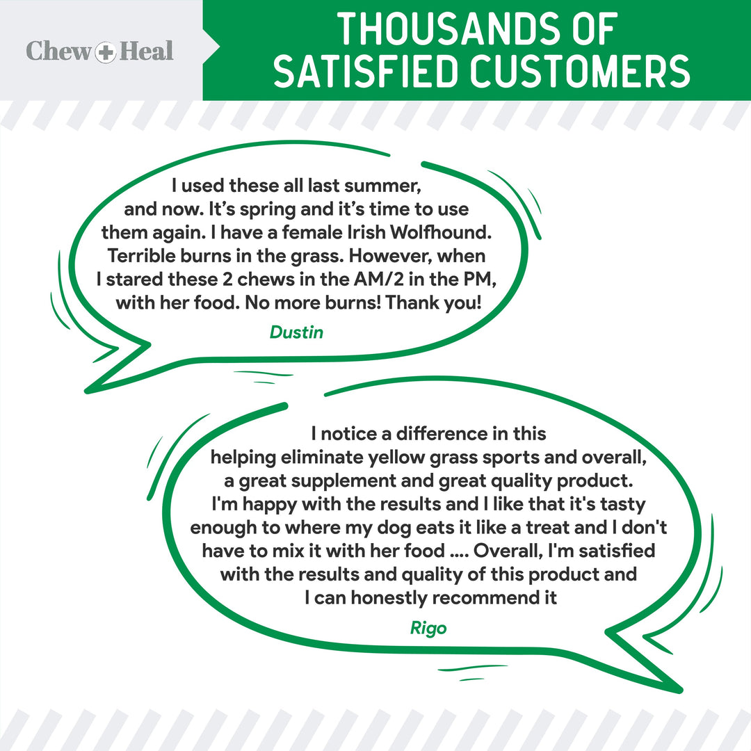 Lawn Saver Soft Chew Lawn Protection Supplement for Dogs