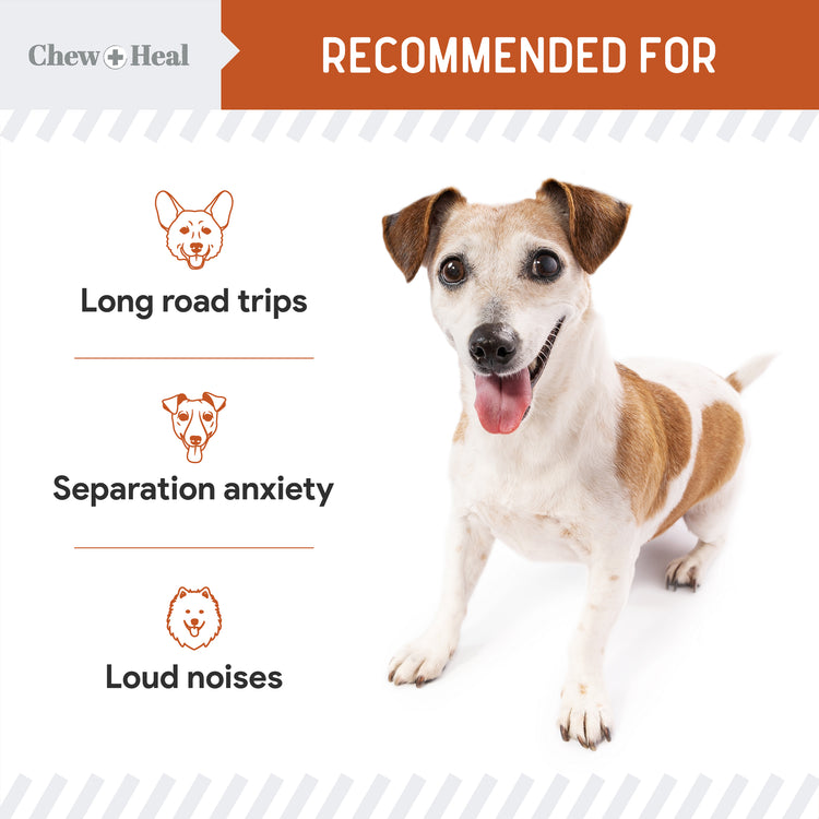 Travel-Sized Anxiety & Stress Chews Supplement for Dogs