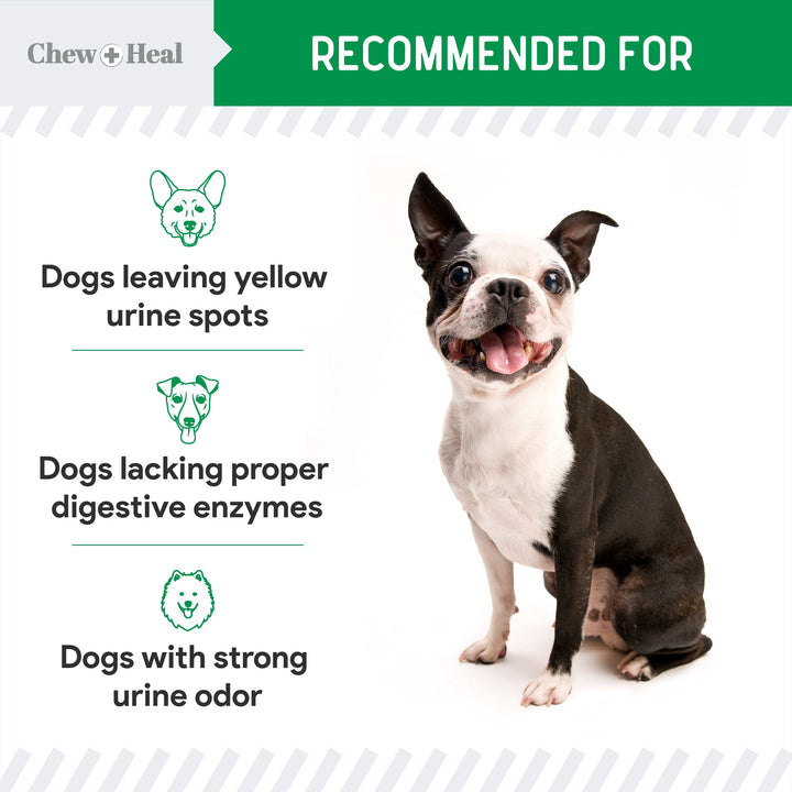 Lawn Saver Soft Chew Lawn Protection Supplement for Dogs