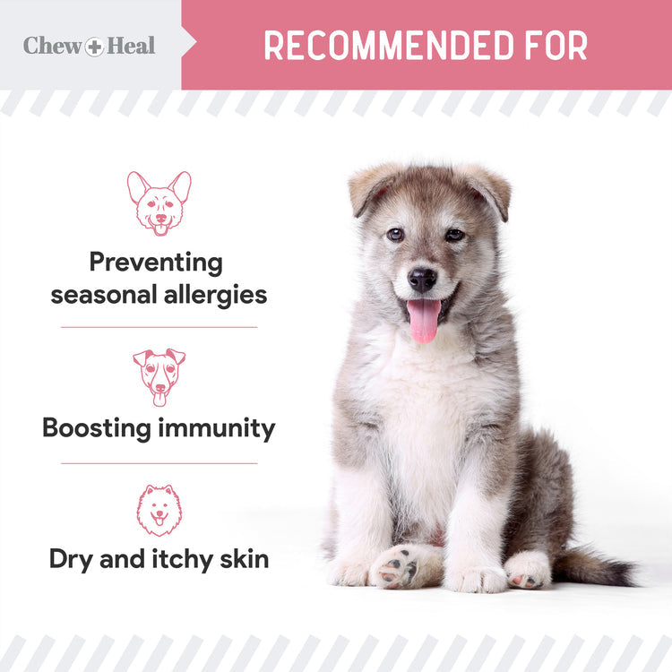 Allergy Aid Soft Chew Allergy Supplement for Dogs