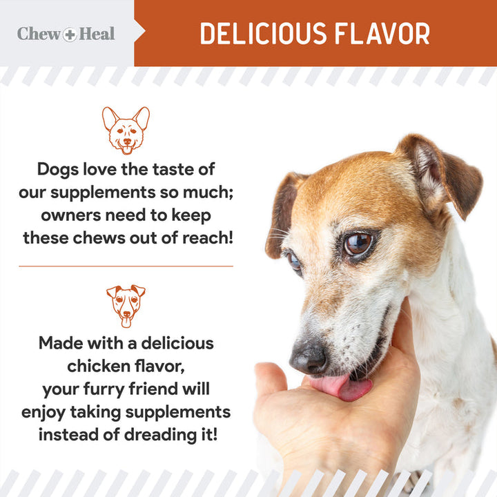 Travel-Sized Anxiety & Stress Chews Supplement for Dogs