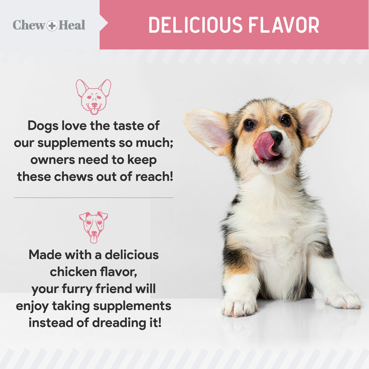Allergy Aid Soft Chew Allergy Supplement for Dogs