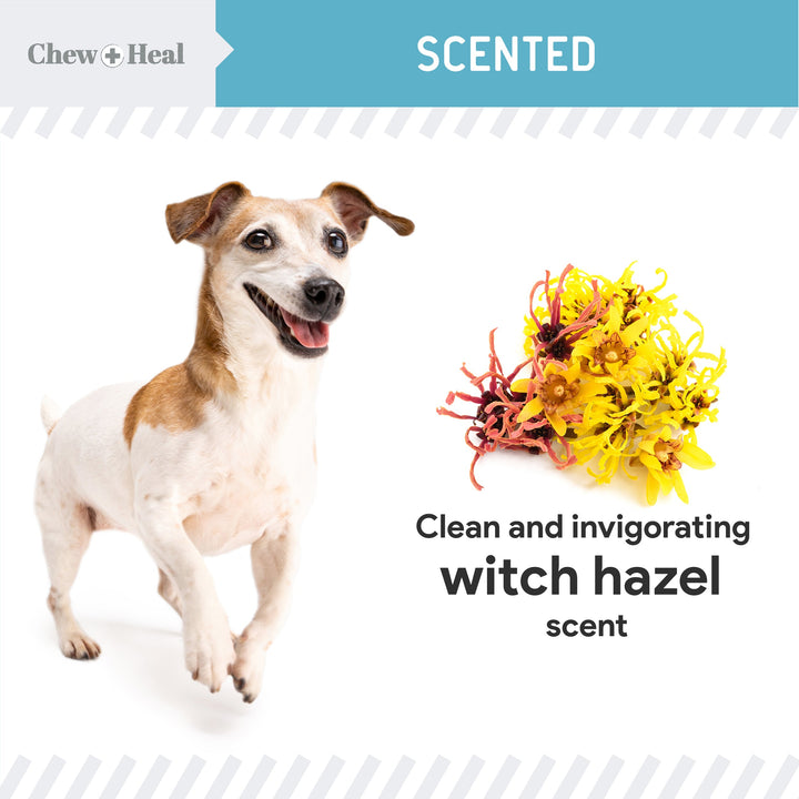 Fresh Scent, Soothing Aloe, Witch Hazel & Tea Tree Oil Dog Ear Cleaner 4oz
