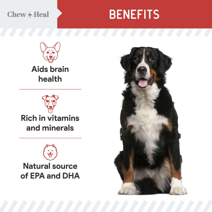 Focus Wild Alaskan Salmon Limited Ingredient Soft Jerky Dog Treats