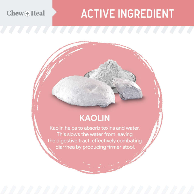 Stop The Diarrhea Liquid Digestive Aid for Dogs 12oz