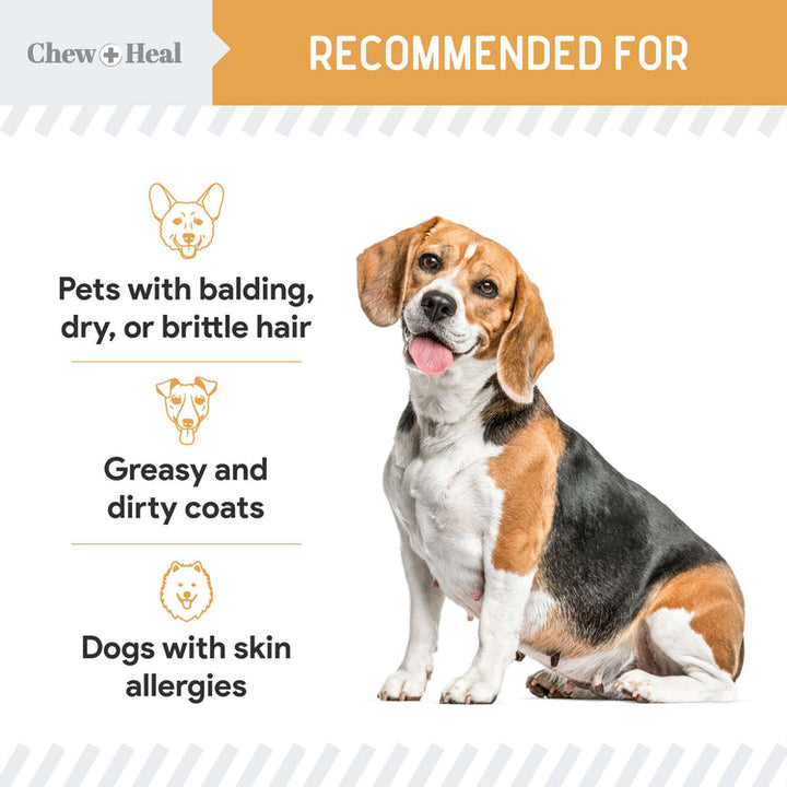 Wild-Caught Omega Skin + Coat Softgels Made with Wild-Caught Fish Oil Supplement for Dogs & Cats