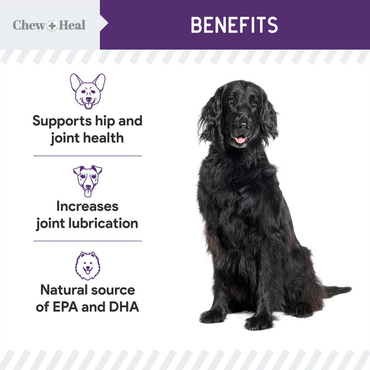 Mobility Wild Alaskan Salmon Limited Ingredient Soft Jerky Dog Treats