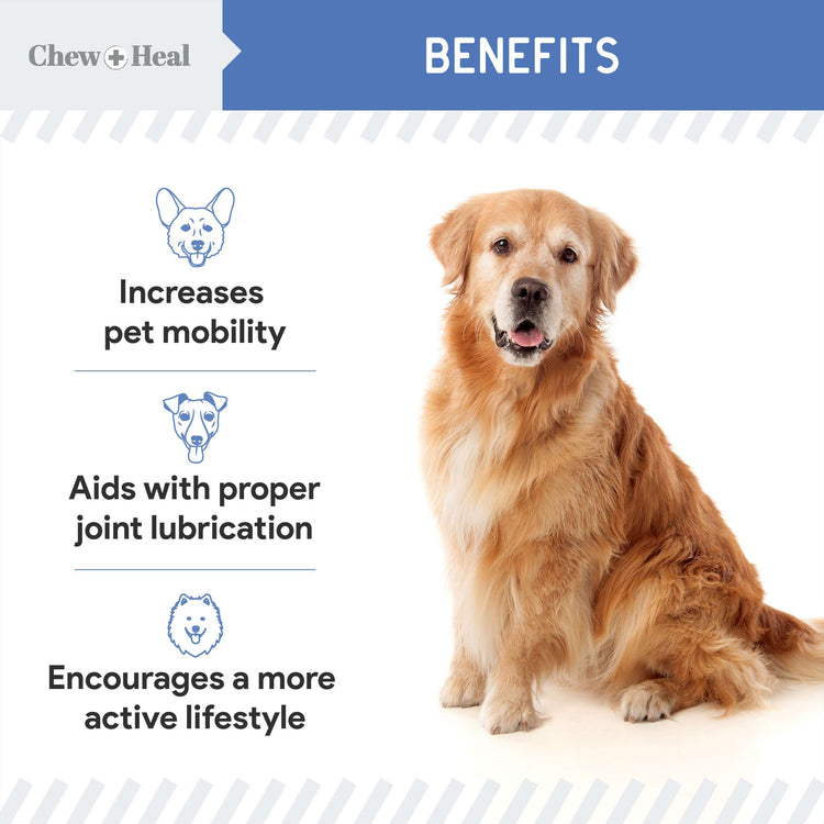 High-Potency Advanced Mobility Support Liquid Supplement for Senior Dogs