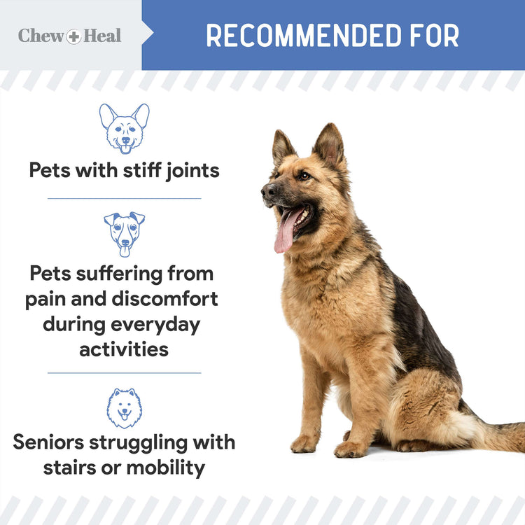 High-Potency Advanced Mobility Support Liquid Supplement for Senior Dogs