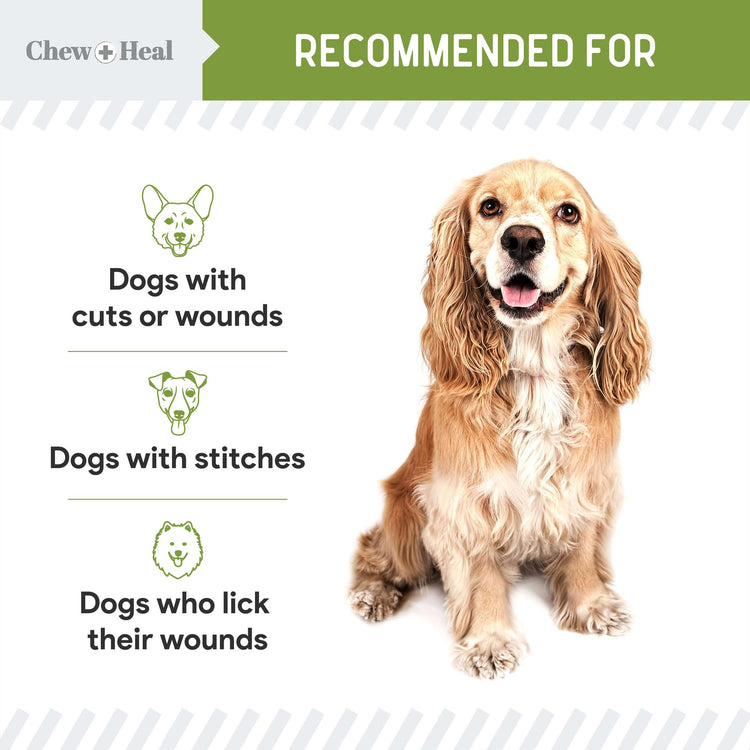 Liquid Bandage for Dogs 8oz