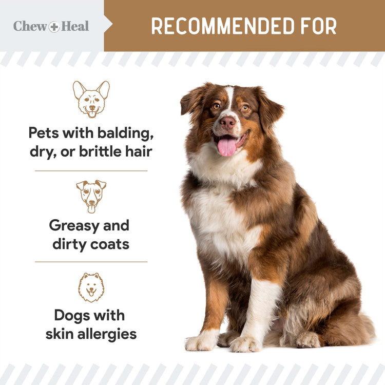 Peanut Butter Omega Skin + Coat Supplement for Dogs