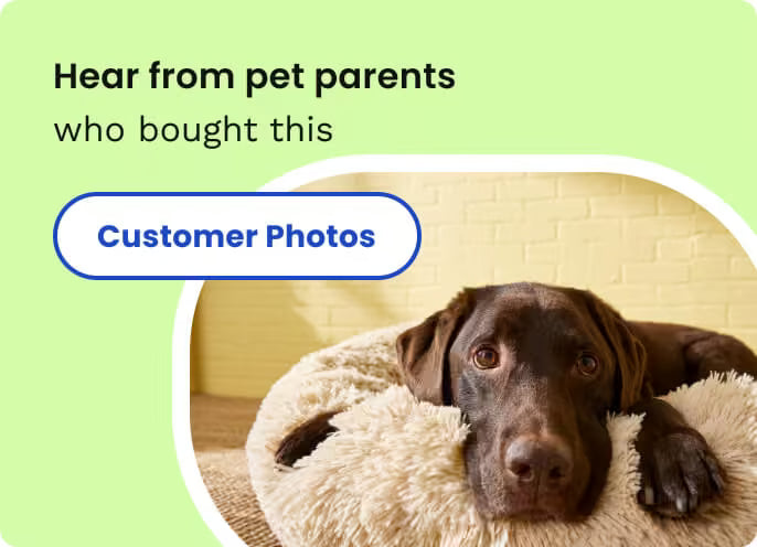 Chew + Heal Antibacterial & Antifungal Chlorhexidine & Ketoconazole Dog & Cat Grooming Wipes