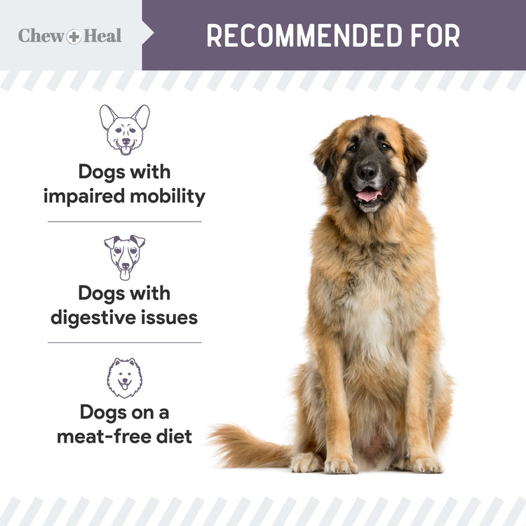 Senior Wild Alaskan Salmon Limited Ingredient Soft Jerky Dog Treats